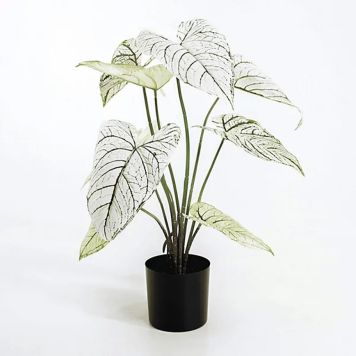 KONSTVÄXT EMERALD ELEFANTÖRA CALADIUM I KRUKA 60CM 