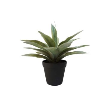 KONSTVÄXT EMERALD AGAVE 19CM GRÖN