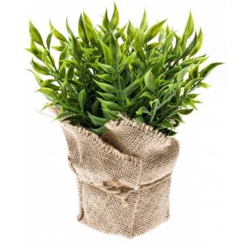 KONSTVÄXT EMERALD RUSCUS 20CM GRÖN 