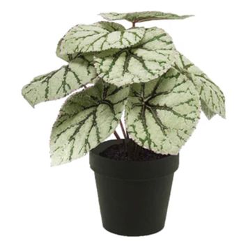 KONSTVÄXT EMERALD BEGONIA I KRUKA 25CM