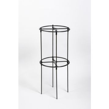 BUSKSTÖD BERBERIS TRELLIS 132,5CM