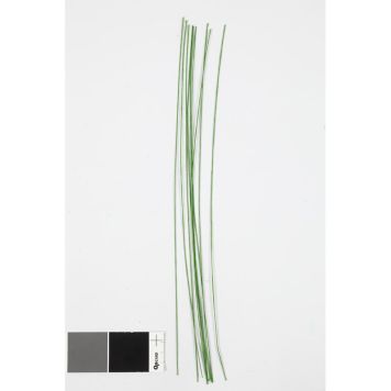 BLOMSTJÄLKAR CREATIV COMPANY GRÖN 0,6MM 20ST