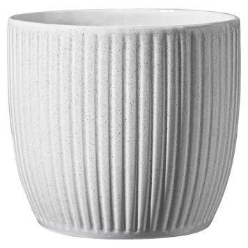 INOMHUSKRUKA SOENDGEN BELICE DELIGHT 21CM KOKOSVIT