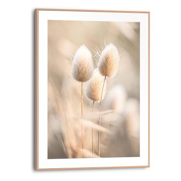 TAVLA REINDERS AMBIENT PLUMES SLIM FRAME 30X40CM TRÄ