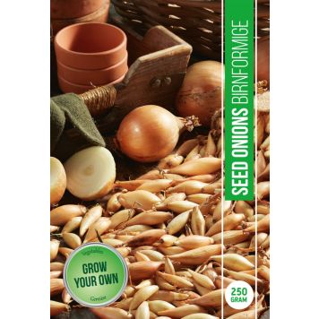 GRÖNSAKSFRÖ GUL LÖK BIRNFORMIGE 250G