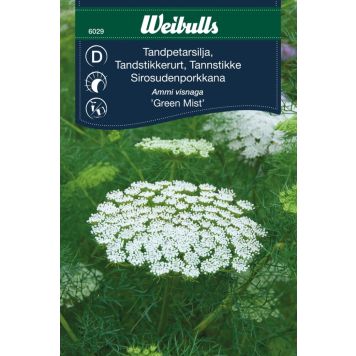 BLOMFRÖ WEIBULLS TANDPETARSILJA GREEN MIST