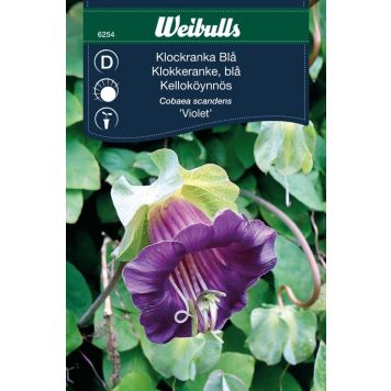 BLOMFRÖ WEIBULLS KLOCKRANKA BLÅ VIOLET