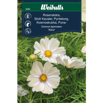 BLOMFRÖ WEIBULLS ROSENSKÄRA KIIRO