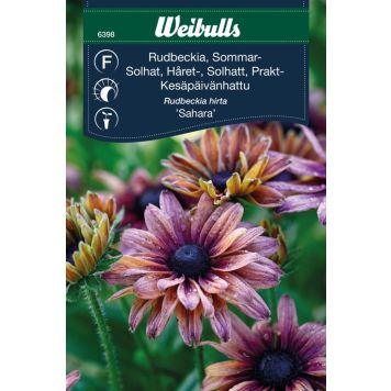 BLOMFRÖ WEIBULLS RUDBECKIA SOMMAR SAHARA 