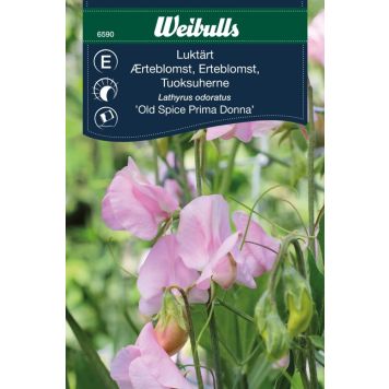 BLOMFRÖ WEIBULLS LUKTÄRT OLD SPICE PRIMA DONNA