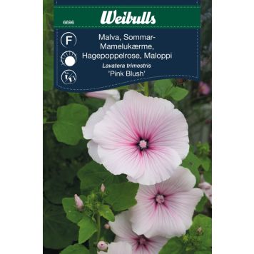 BLOMFRÖ WEIBULLS MALVA  SOMMAR PINK BLUSH