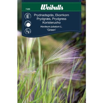 BLOMFRÖ WEIBULLS PRYDNADSGRÄS EKORRKORN GREEN