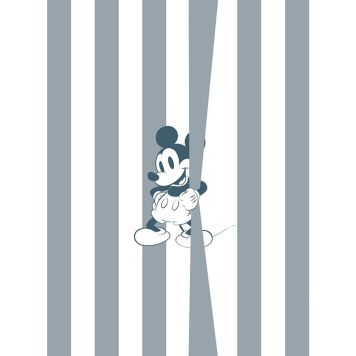 FOTOTAPET KOMAR MICKEY OFFBEAT