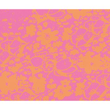 FOTOTAPET KOMAR 1974