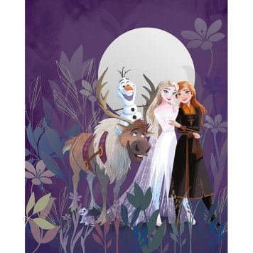 FOTOTAPET KOMAR FROZEN FULL MOON HIKE