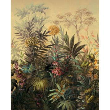 FOTOTAPET KOMAR HERNANDEZ