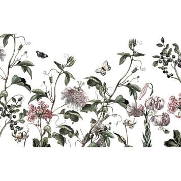 FOTOTAPET KOMAR PARADIS DE PAPILLONS