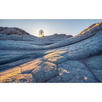 FOTOTAPET KOMAR ELEPHANT SKIN