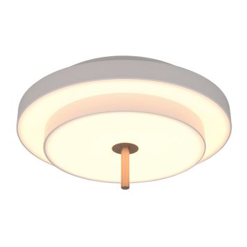 PLAFOND TRIO LIGHTNING KEATON LED VARMGRÅ