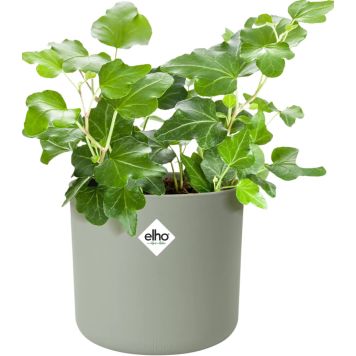 KRUKA ELHO B.FOR SOFT ROUND Ø16CM GRÖN       