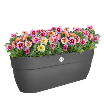 BALKONGLÅDA ELHO VIBIA CAMPANA EASY HANGER XL 58CM SVART                              