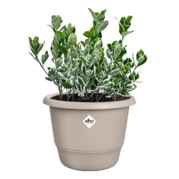 UTOMHUSKRUKA ELHO AMIGA ROUND Ø47CM BEIGE