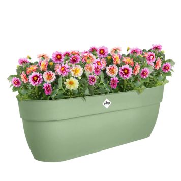 BALKONGLÅDA ELHO VIBIA CAMPANA EASY HANGER XL 58CM GRÖN