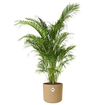 KRUKA ELHO B.FOR SOFT ROUND Ø16CM SAND