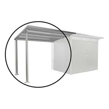 SIDOTAK BIOHORT AVANTGARDE A2/A6 METALLIC SILVER