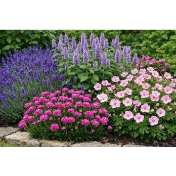 PERENNPAKET 1 SOL 4 SORTER 14ST