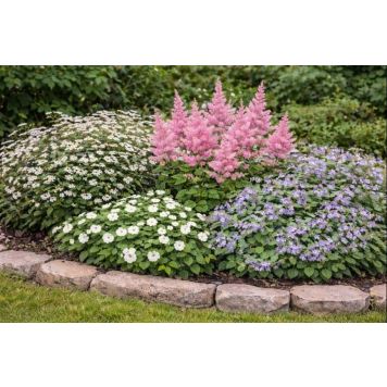 PERENNPAKET 2 SKUGGA 4 SORTER 14 ST