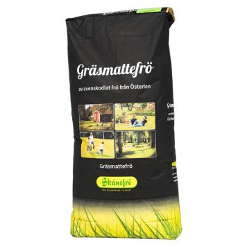 GRÄSFRÖ SKÅNEFRÖ SVINGEL 100 20KG 800M²