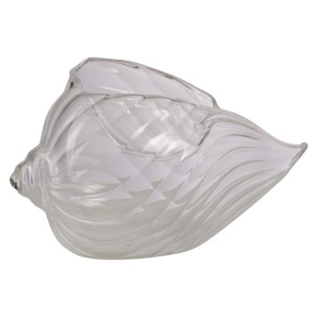LJUSLYKTA AFFARI SHELL 15X10X9CM KLAR