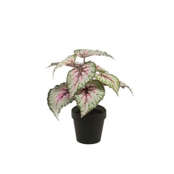 KONSTVÄXT EMERALD BEGONIA I KRUKA 25CM