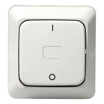 STRÖMBRYTARE 2-POL UTP UTAN KLOR. 2/16AX