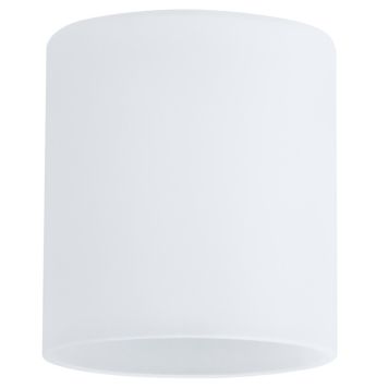 LAMPSKÄRM PAULMANN ZYLI VIT GLAS