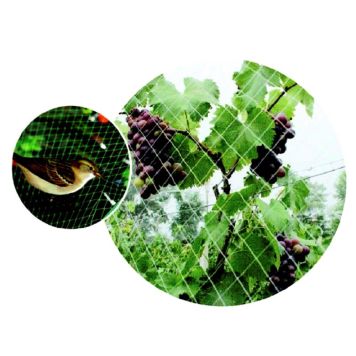 FÅGELNÄT HOME IT GARDEN 15X15 4X5M 