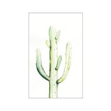 POSTER KOMAR SAGUARO WATERCOLOR 50X70CM