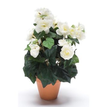 KONSTVÄXT BEGONIA I KRUKA 11CM