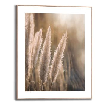 TAVLA REINDERS SUNSET GRASSES 40X50CM
