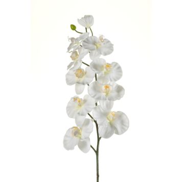 KONSTVÄXT EMERALD PHALAENOPSIS SPRAY SNITT CREME 102CM