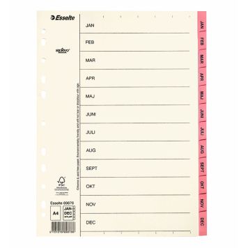 PÄRMREGISTER ESSELTE A4 JAN-DEC ROSA