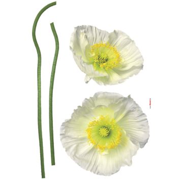 VÄGGDEKAL KOMAR PAVOT BLANC