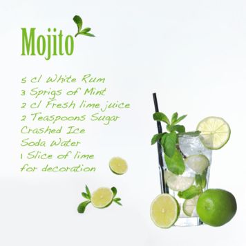 VÄGGDEKAL KOMAR MOJITO