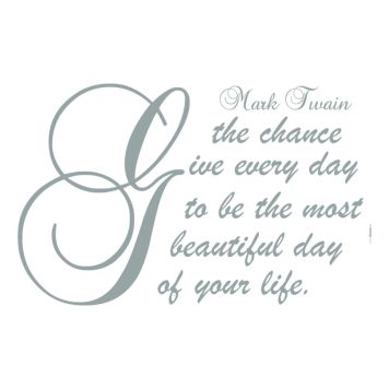 VÄGGDEKAL KOMAR BEAUTIFUL