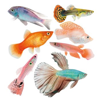 VÄGGKLISTERMÄRKE PLAGE HAVET