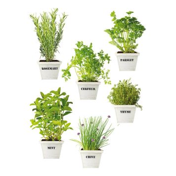 VÄGGKLISTERMÄRKE PLAGE ÖRTER 