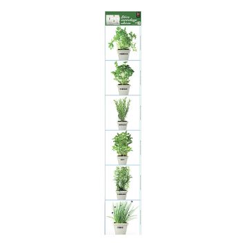 KAKELDEKOR PLAGE ÖRTER 15X15CM 6-PACK