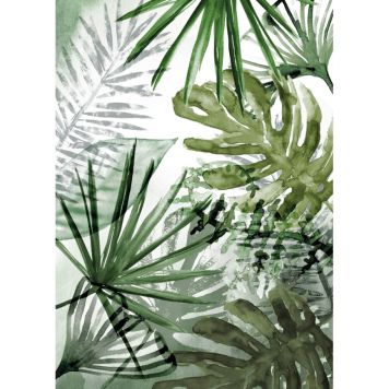 FOTOTAPET ART FOR THE HOME PURE NATURE MONSTERA