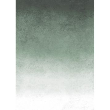 FOTOTAPET ART FOR THE HOME FADING GREEN